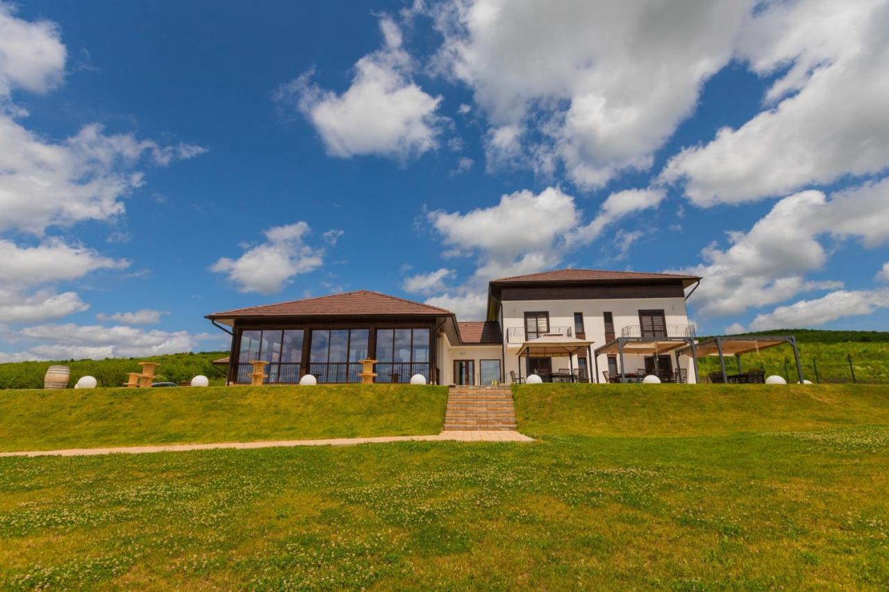 Crama Jelna Resort & Spa Orheiu Bistritei Ngoại thất bức ảnh